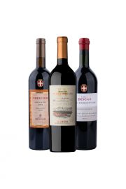 Pack Best Seller x3 vinos tintos de guarda
