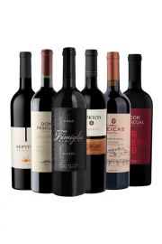 Pack Bold & Comforting x6 vinos con carácter
