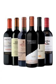 Pack Fireside Reds x6 vinos tintos
