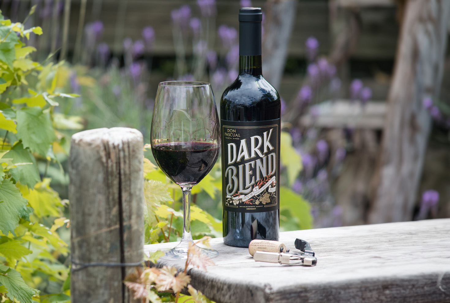 Dark Blend seleccionado por INAVI para representar la vitivinicultura uruguaya